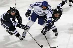 开云官网-中国男篮战术调整及时，中国男篮的战绩