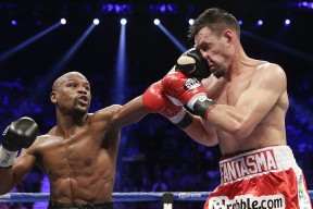 开云官方网站-法甲豪门签入新星，增强战斗力争夺冠军，法甲为何没有豪门俱乐部