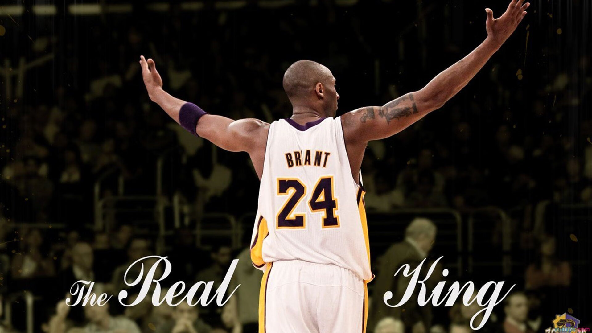 纪录挑战：哪些球员最有可能本赛季打破历史纪录？，本赛季进步最大的球员