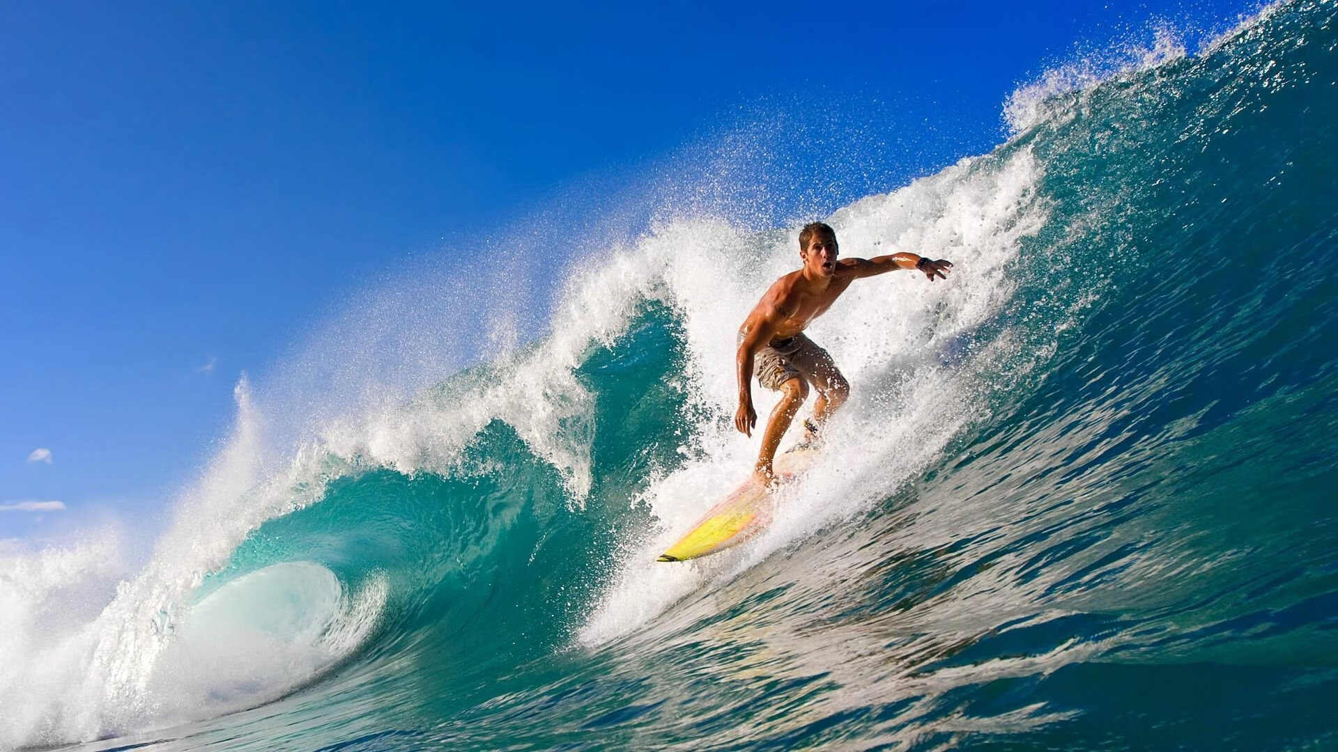 张伟丽接受康复训练备战新一轮挑战，张伟丽训练照片